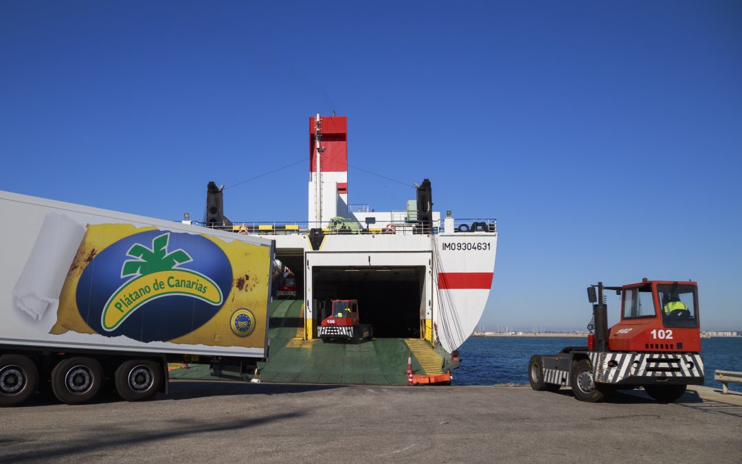 El crecimiento de la mercancía general, del roro y el contenedor marcan el primer semestre de actividad portuaria